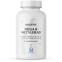 Holistic Mega B Metylerad 90 kapselia