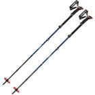 Leki Sherpa FX Carbon