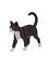 Mojo Farmland Cat – kuva 1