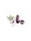 Dantoy GG tea set in box – kuva 1
