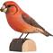 DecoBird Pikkukäpylintu – kuva 1