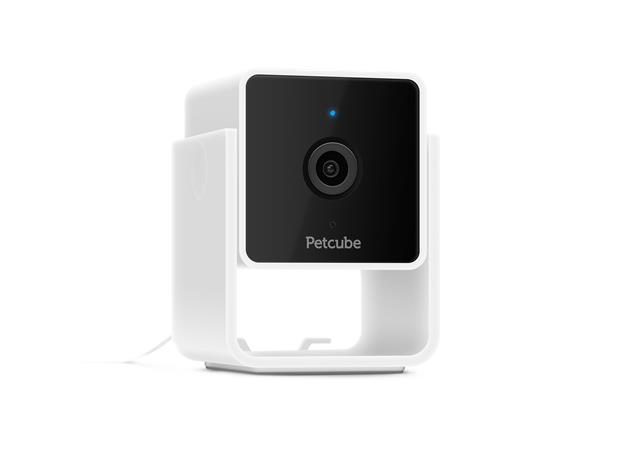 Petcube Cam lemmikkikamera