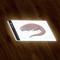 Maxlife LED-piirustusalusta A4 – kuva 1
