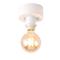 FOCUSLIGHT DENNIS 12 1XE27 MU KATTOVAL – kuva 1
