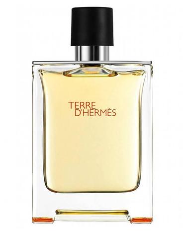 Hermes Terre d'Hermes Eau Intense Vetiver - EdP 200 ml