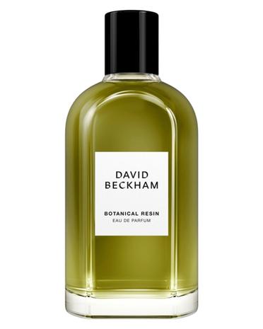 David Beckham Botanical Resin - Eau de parfum 100 ml