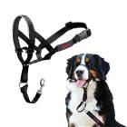Halti Headcollar Kuonohihna Musta Nro 4