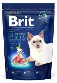 BRIT PREMIUM B.N C 300G LAMMAS HERKKä?V.