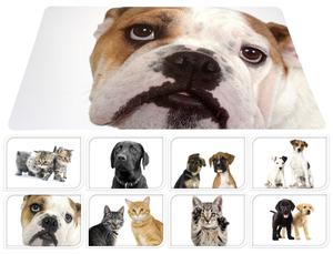 PETS CY2700880 RUOKAKUPIN ALUSTA