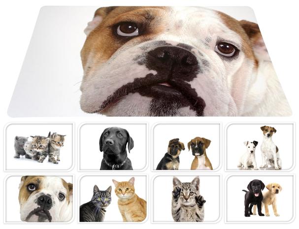 PETS CY2700880 RUOKAKUPIN ALUSTA