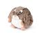 Cozy Noxxiez Cuddle Pillow Bunny halityyny – kuva 1