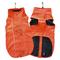 FINNERO SPORT ORANSSI 55CM KOIRAN TAKKI – kuva 1