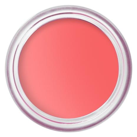 Bobbi Brown Pot Rouge Velvet Matte Apricot Rush