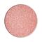 MAC Cosmetics Eye Shadow Pro Palette Refill Pan Glitter Last Danc – kuva 1