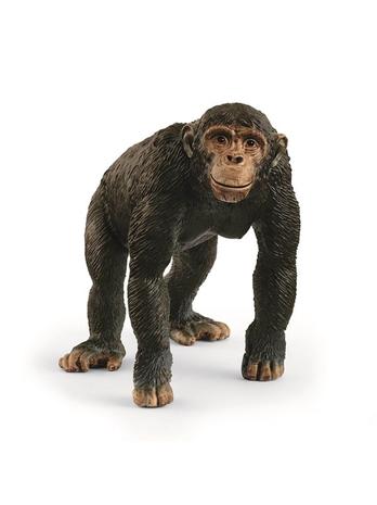 Schleich Wild Life Chimpanzee simpanssi