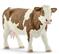 Schleich 13801, Simmental-lehmä – kuva 2