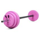 Gymstick, 20 kg pump-painosarja