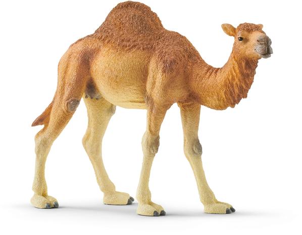 Schleich Wild Life 14832, Dromedary
