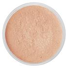 IDUN Minerals Powder Foundation Disa