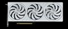 Palit GeForce RTX 5070 White OC - 12GB GDDR7 RAM - Näytönohjaimet