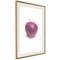 Artgeist Forbidden Fruit juliste – kuva 1