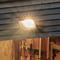 LEDVANCE LEDVANCE Endura Floodlight LED-kohdevalaisin 50W – kuva 4