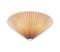 Plafondi Plisado, 3 lamppua, 50 cm – kuva 1