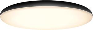Philips Hue White Ambiance Cher 40967/30/P7, bluetooth-kattovalaisin