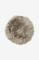 thumb92817451