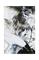 Juliste Black and White 1 – kuva 1