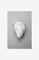 Juliste Oyster 2 – kuva 1