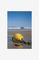 thumb92818981