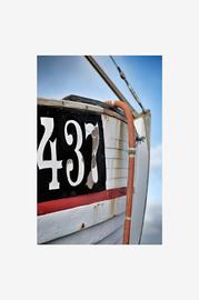 Juliste FN437