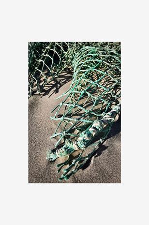 Juliste Net in sand