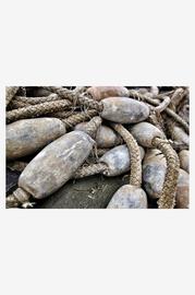 Juliste Waste