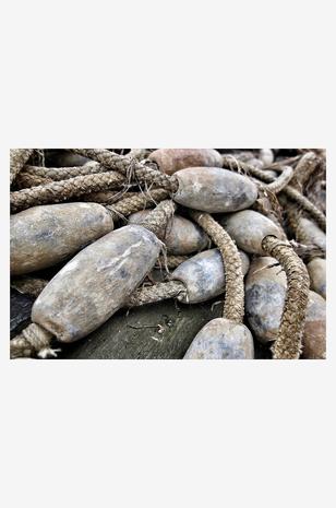 Juliste Waste