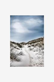 Juliste The path