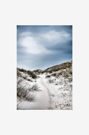 Juliste The path