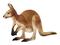 Schleich 14756, kenguru – kuva 2