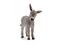 Schleich 13746, aasinvarsa – kuva 8