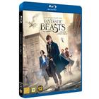 Fantastic Beasts and Where to Find Them, elokuva