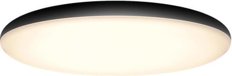 Philips Hue White Ambiance Cher 40967/30/P7, bluetooth-kattovalaisin
