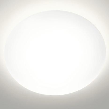 Philips Suede LED -kattovalaisin, 4 x 6 W, valkoinen, 38 cm