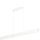 Philips Hue White & Color Ambiance Ensis 40903/31/P7, bluetooth-riippuvalaisin 2 x 39 W