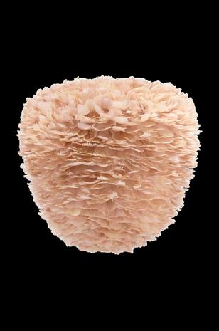 Lampunvarjostin Eos Evia Large Ø 55 x 54 cm – kuva 4/8