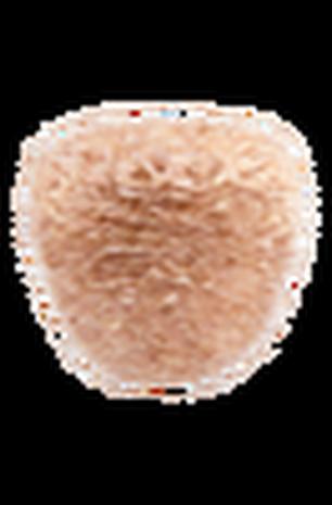 Lampunvarjostin Eos Evia Large Ø 55 x 54 cm – kuva 5/8