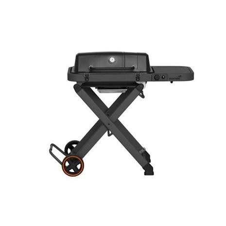 MUSTANG Folding Gas Grill