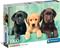 Clementoni Three Labradors (1000) – kuva 2