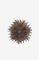 thumb92942191