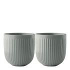 Eva Trio - Legio Nova Kuppi 34 cl 2kpl Sage